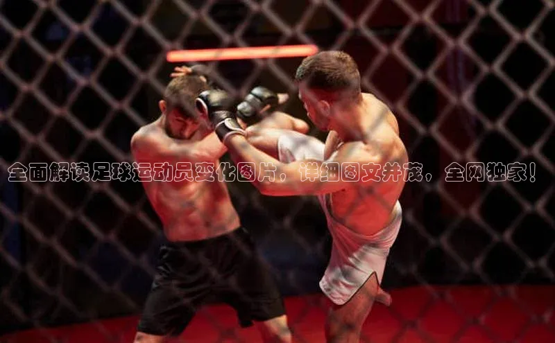 意昂体育4官网百度学术