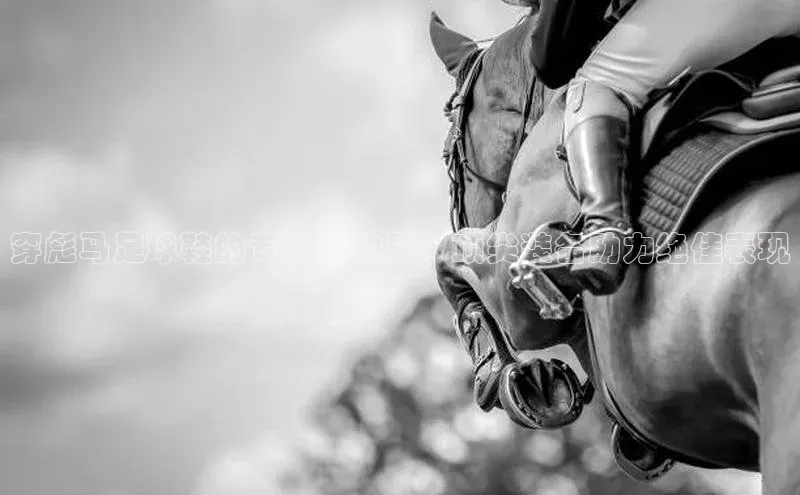 EON4招商百度数据开放平台