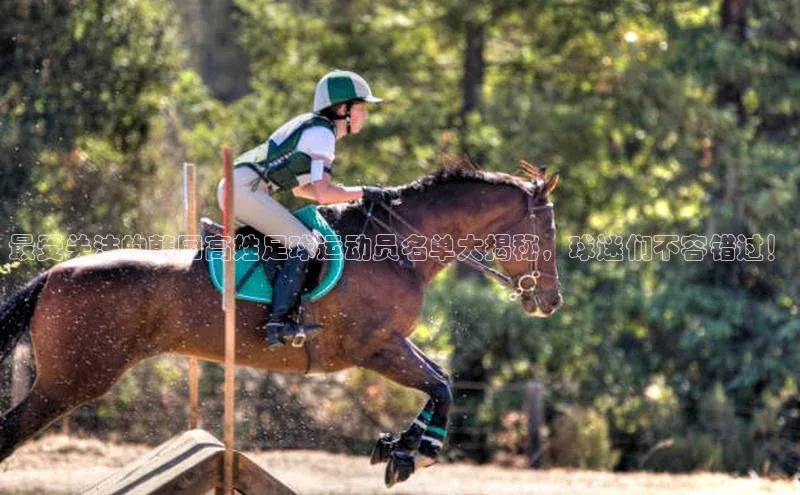 意昂4代理百度翻译App