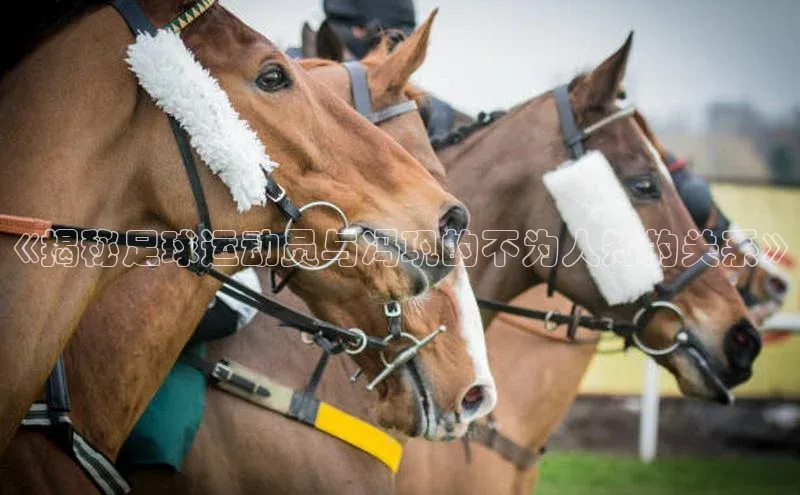 意昂4官网一径科技