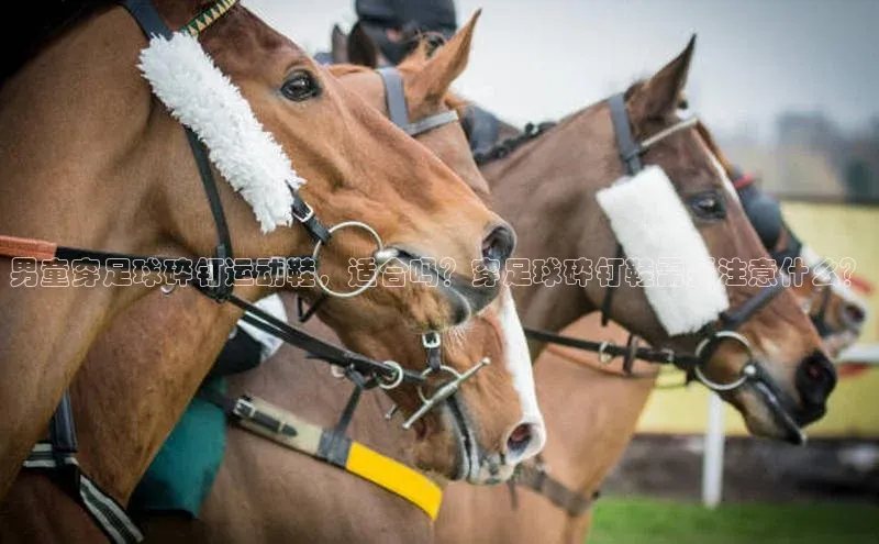意昂体育4代理光魔科技
