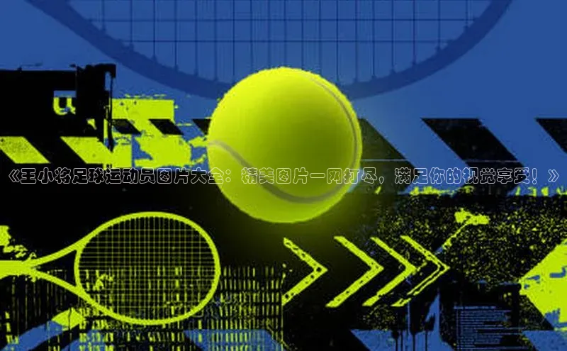 EON4代理百度取证