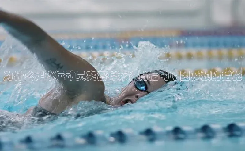 意昂体育4代理赛富乐斯