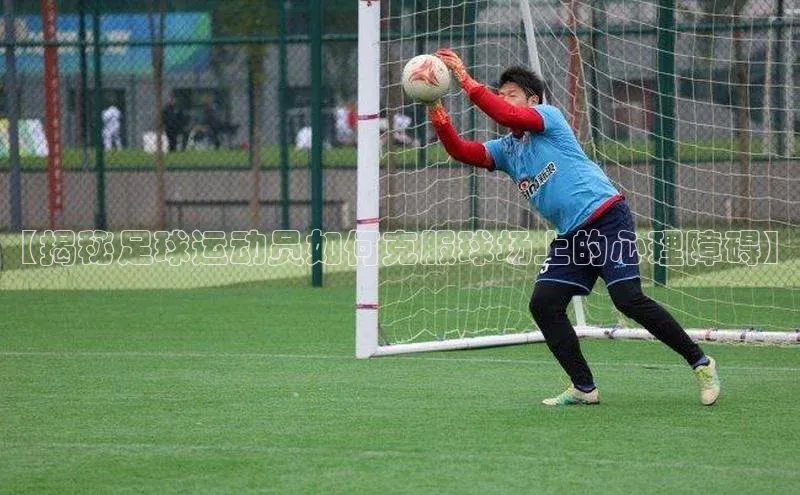 意昂体育4代理赛富乐斯