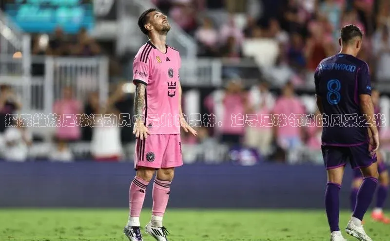 意昂体育4代理赛富乐斯