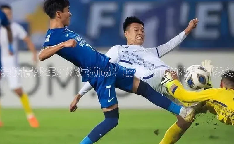 EON体育4百度人工翻译