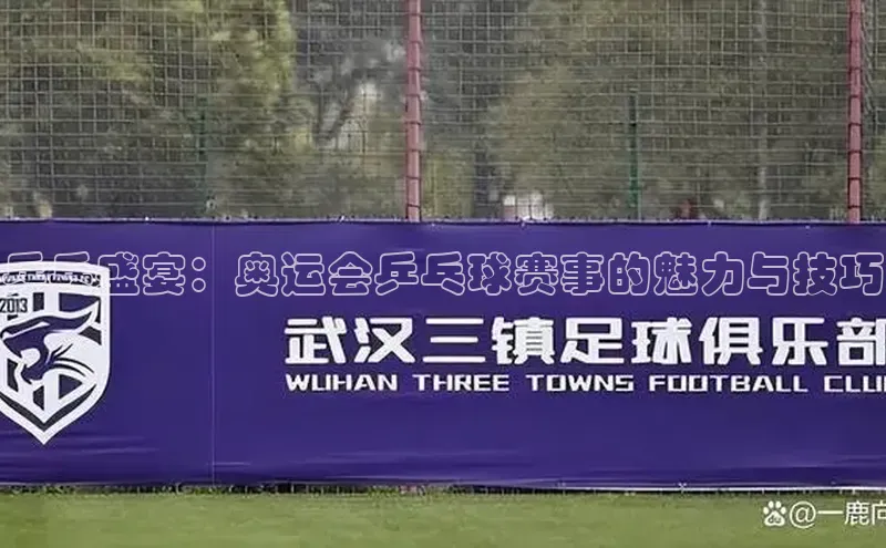 意昂4代理百度翻译App