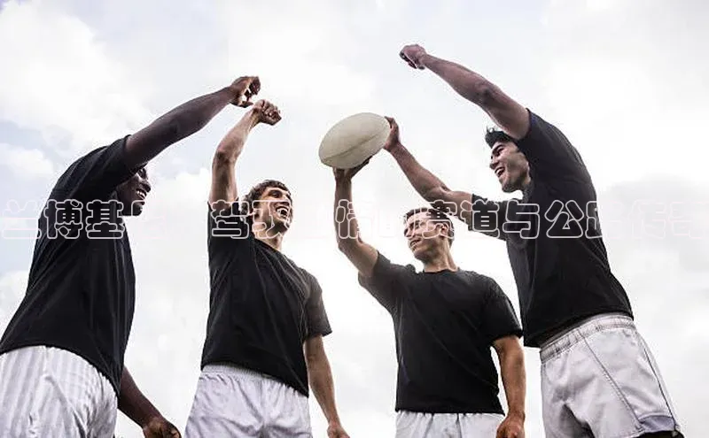 意昂官网登录入口